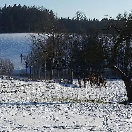 Pension Weinbauer Hofkirchen im Traunkreis Esterno foto