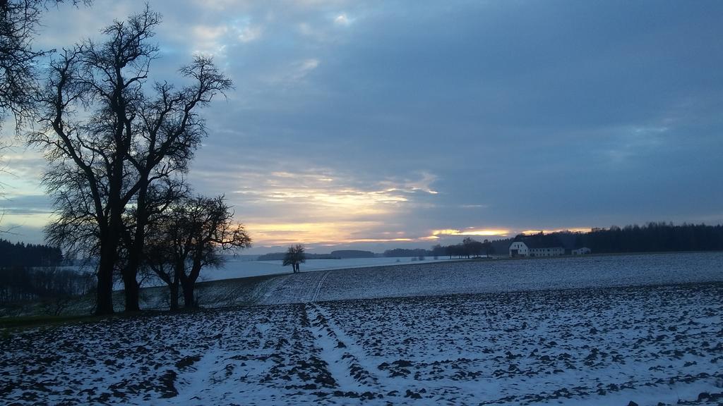 Pension Weinbauer Hofkirchen im Traunkreis Esterno foto
