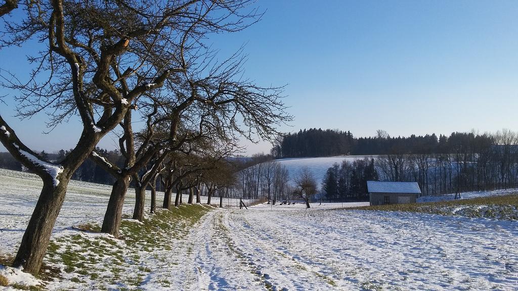 Pension Weinbauer Hofkirchen im Traunkreis Esterno foto